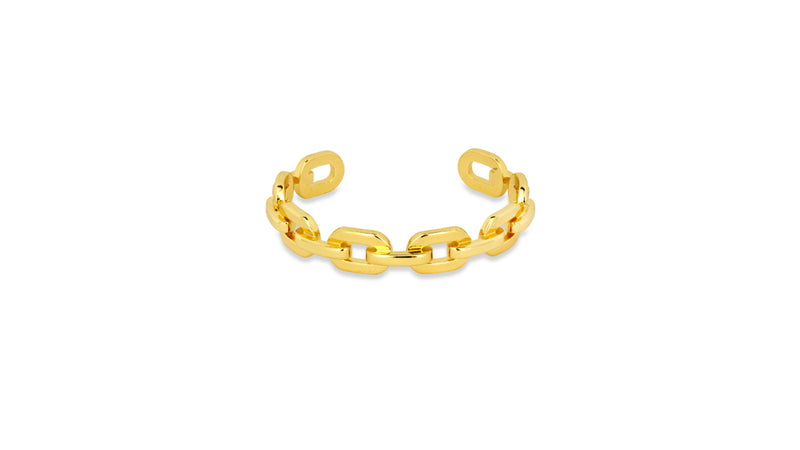apatchy gold link bracelet 
